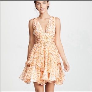 Caroline constas dress